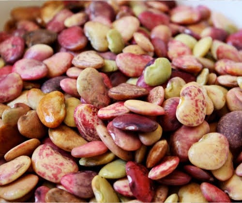 States Produce promo